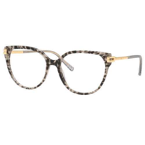 Montures Chic Femme